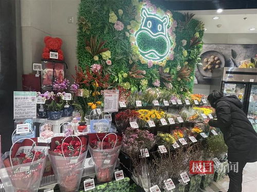 鮮花消費日常化趨勢明顯，武漢時令春花綻放新商機